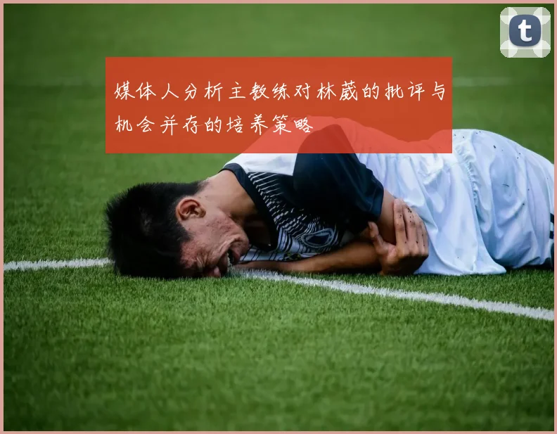 媒体人分析主教练对林葳的批评与机会并存的培养策略