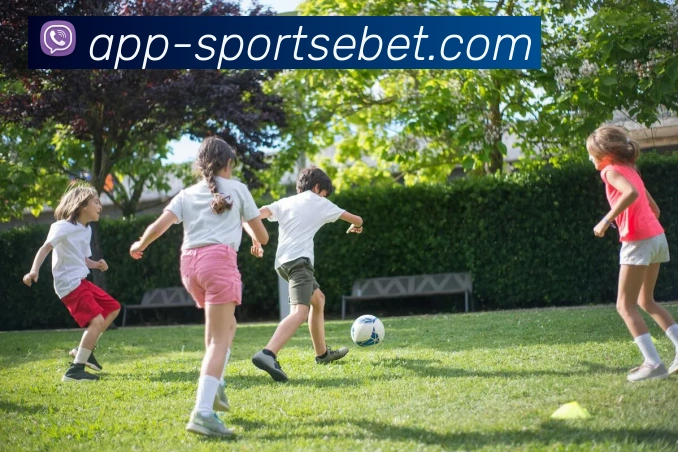 App Interface Preview