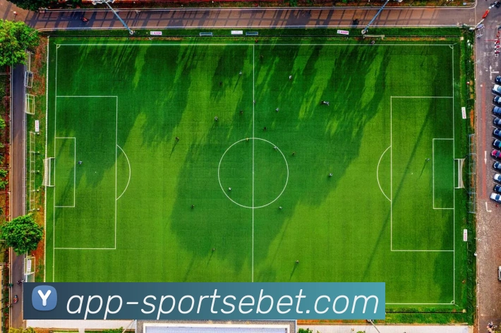 易倍体育APP 封面图